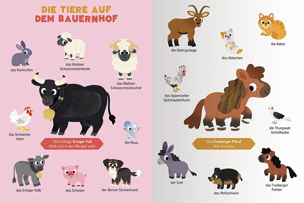 Spüren und berühren: Ich entdecke die Schweizer Tiere
