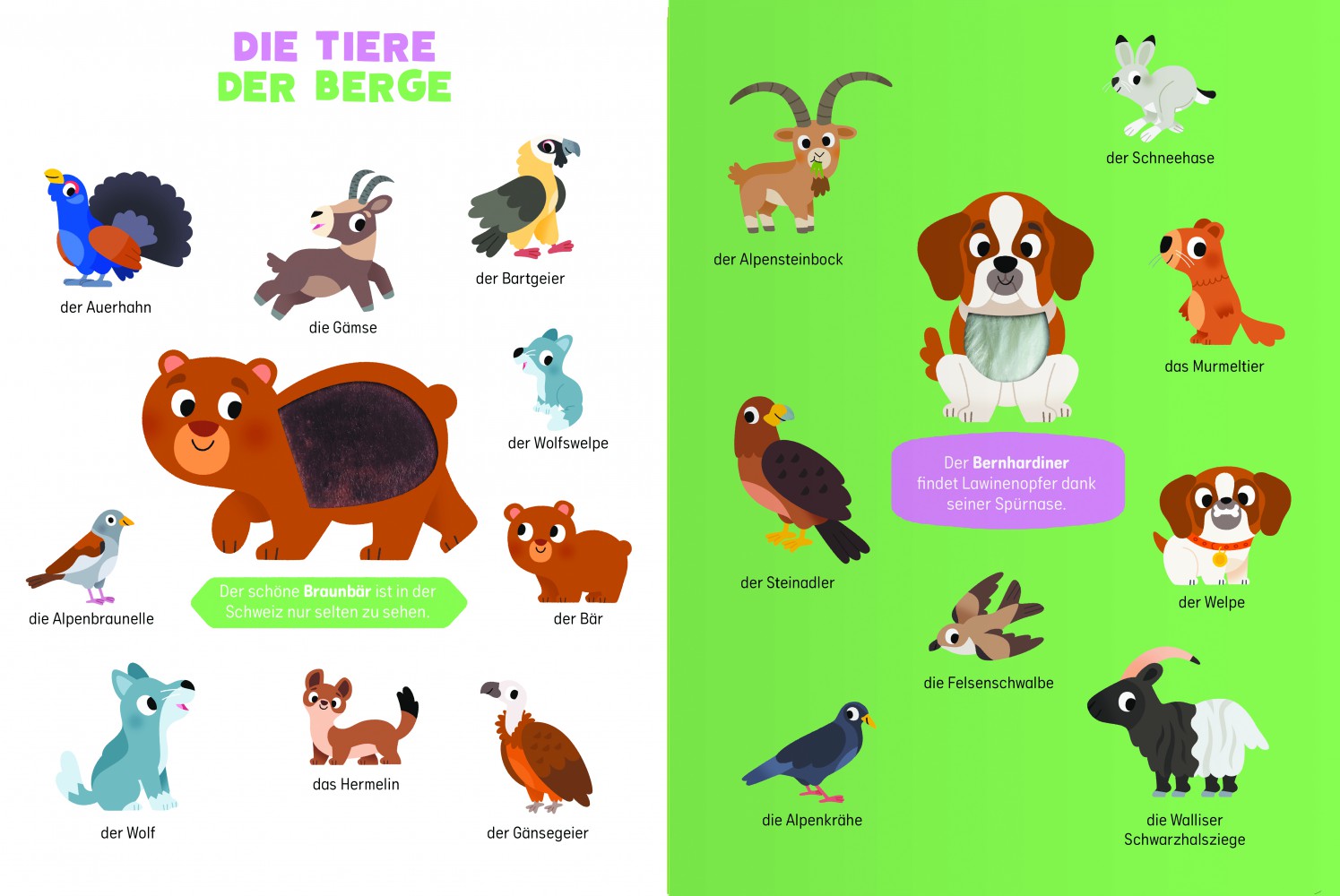 Spüren und berühren: Ich entdecke die Schweizer Tiere