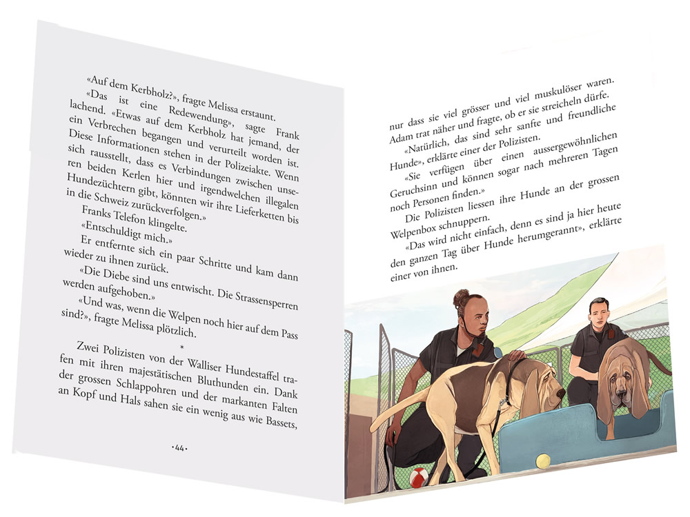 Tatort Schweiz - Gefahr am Grossen Sankt Bernard