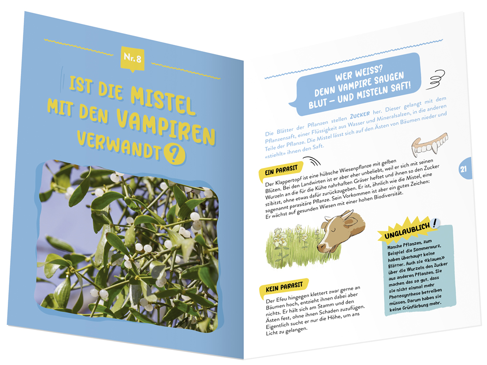 Gibt es das Edelweiss wirklich?