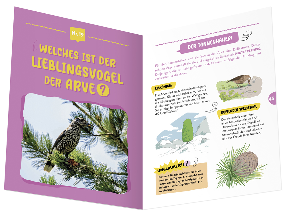 Gibt es das Edelweiss wirklich?